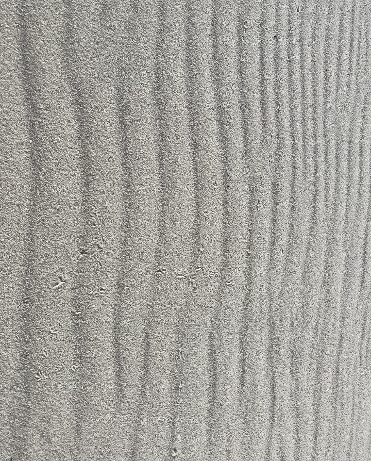 Motifs naturels du sable sous l'eau